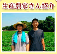 生産農家さんご紹介